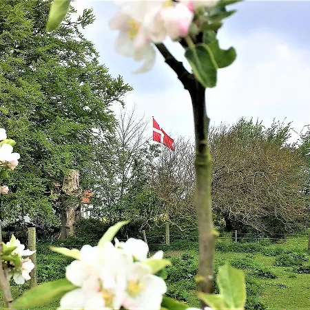 Tatil Evi Syd Pa Rodkaergard Kerteminde
